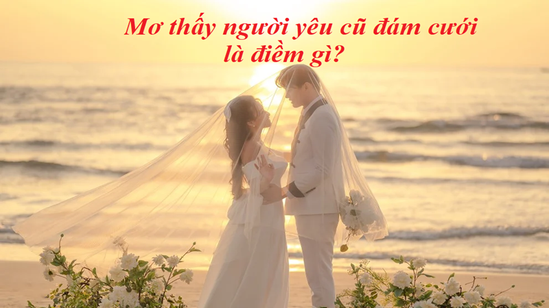 Nằm mơ thấy người yêu cũ cưới là điềm lành cho bản thân Nằm mơ thấy người yêu cũ cưới là điềm lành cho bản thân